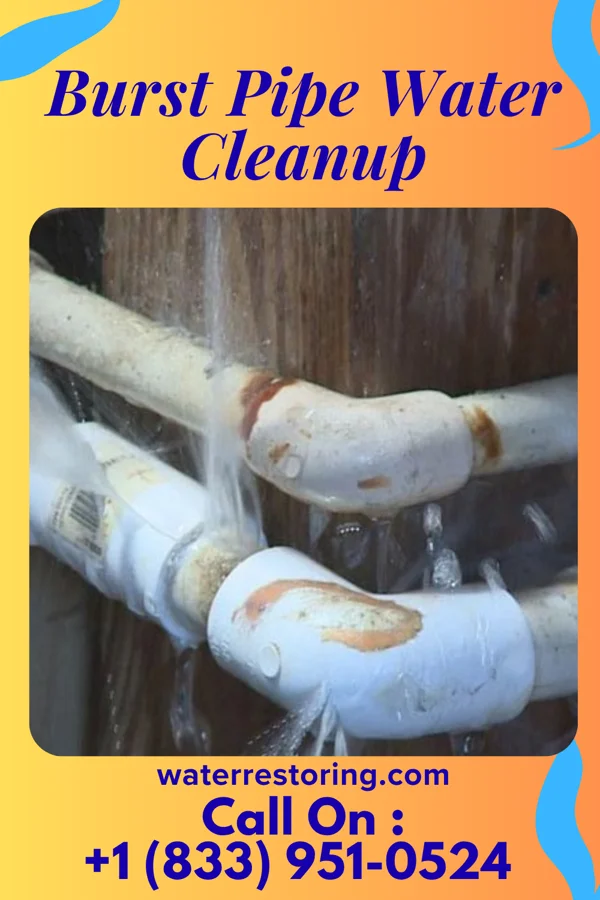 Burst Pipe Water Cleanup in Antwerp, OH