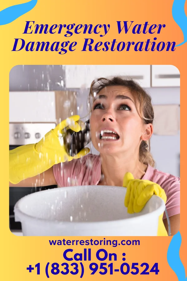 Emergency Water Damage Restoration in Antwerp, OH