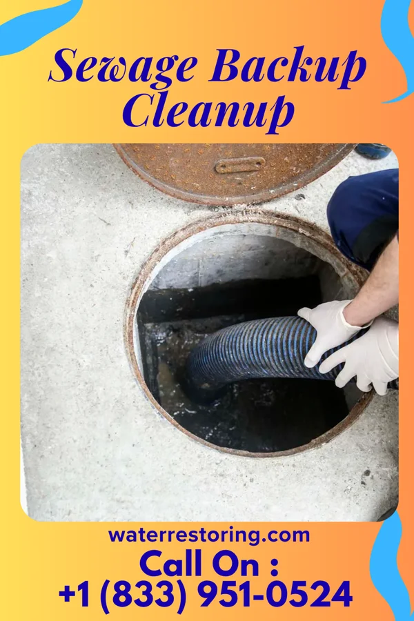 Sewage Backup Cleanup in Antwerp, OH