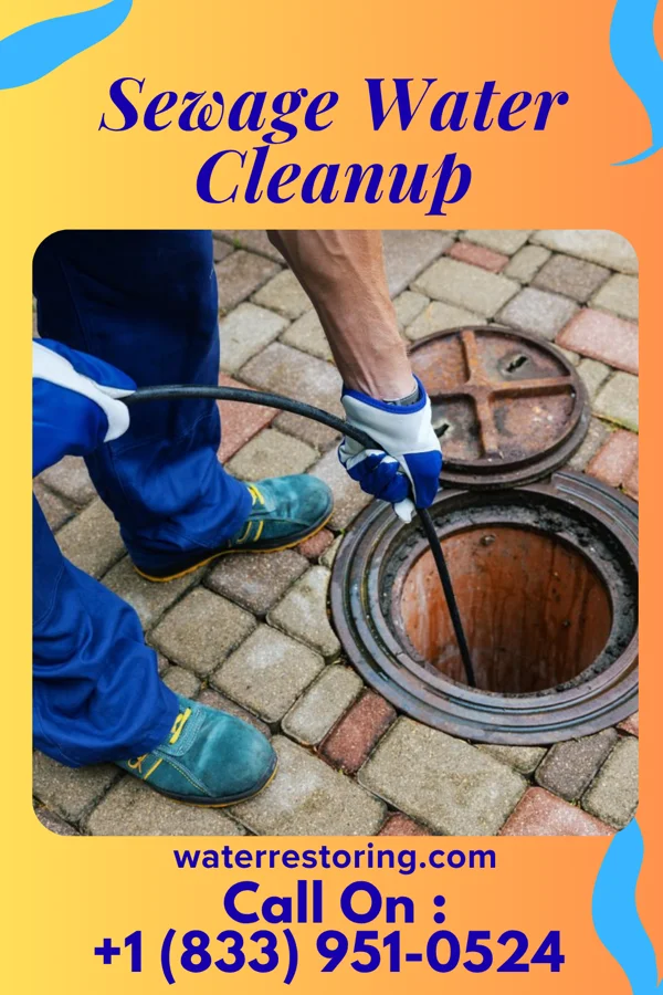 Sewage Water Cleanup in Antwerp, OH